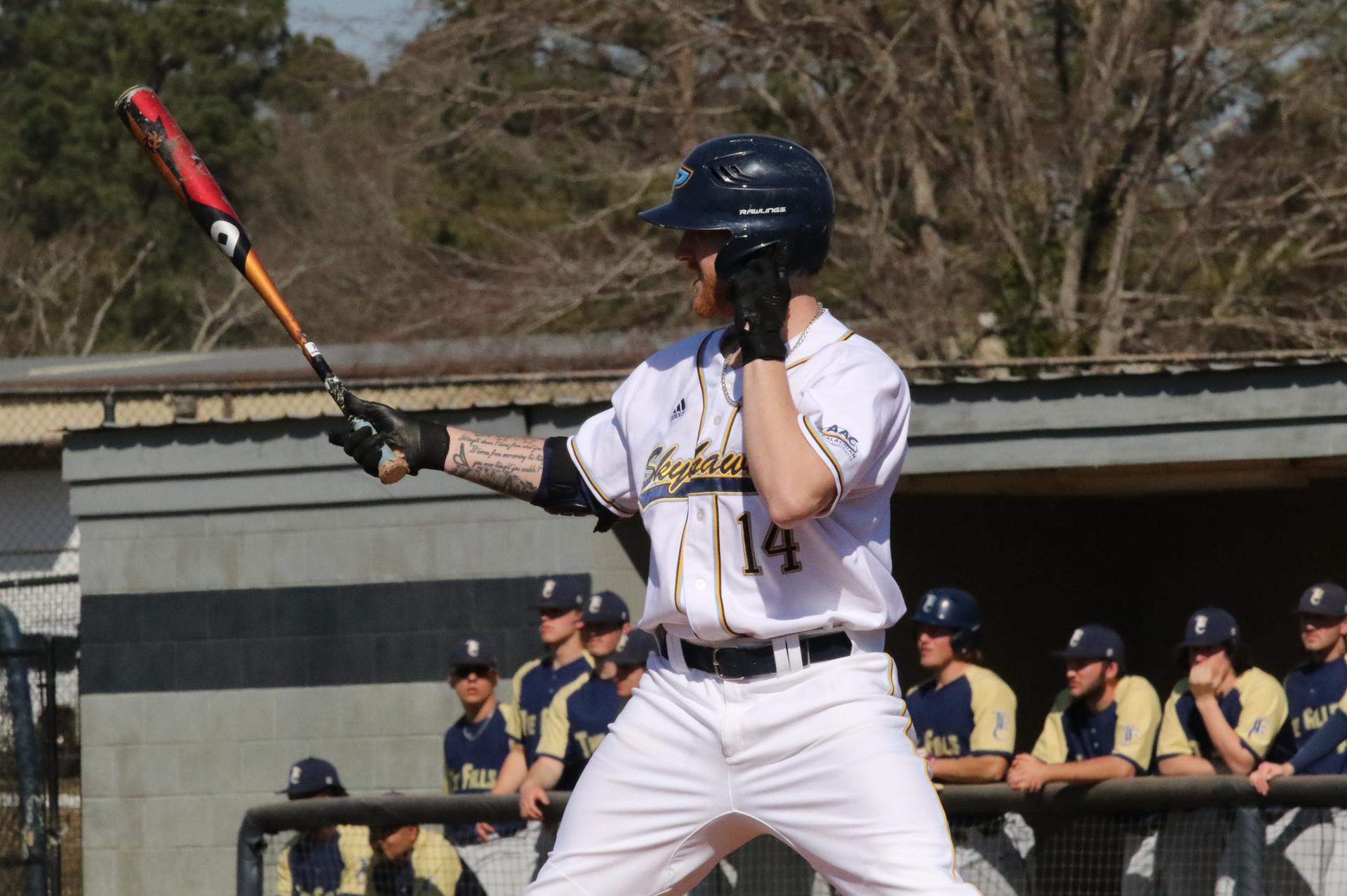 Baseball suffers sweep to Patriots