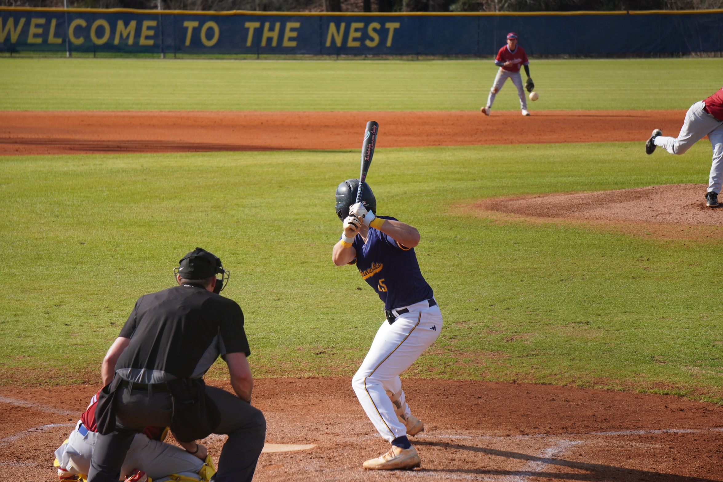 Hernandez Homers in Series Finale Loss to William Carey